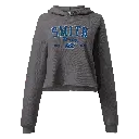 womens-cropped-hoodie-storm-front-687037ea82b04.webp